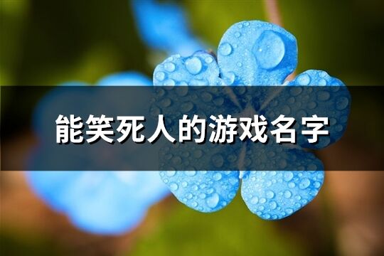 能笑死人的游戏名字(100个)