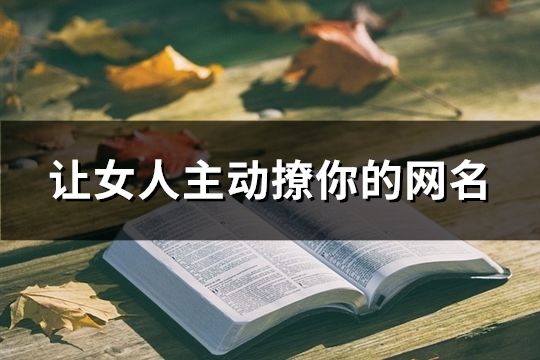 让女人主动撩你的网名(精选69个)