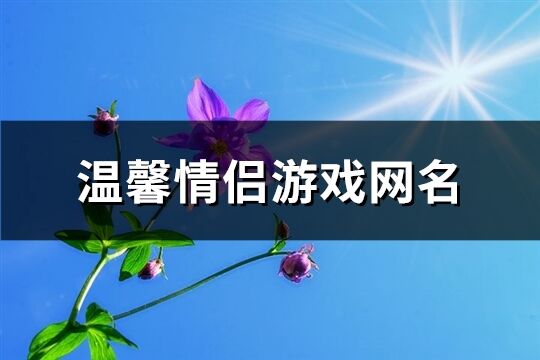 温馨情侣游戏网名(精选243个)