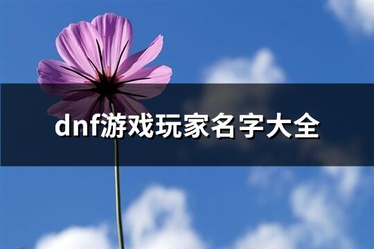 dnf游戏玩家名字大全(共815个)