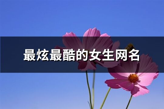 最炫最酷的女生网名(精选157个)