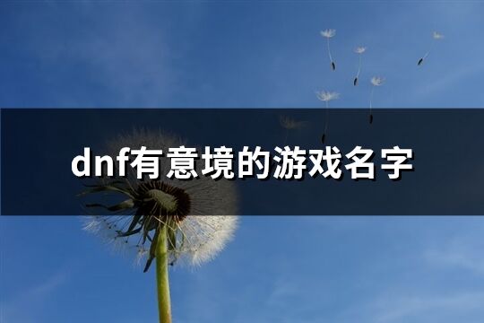 dnf有意境的游戏名字(共337个)