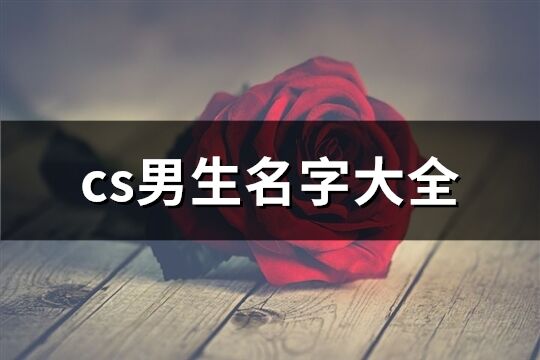 cs男生名字大全(共515个)