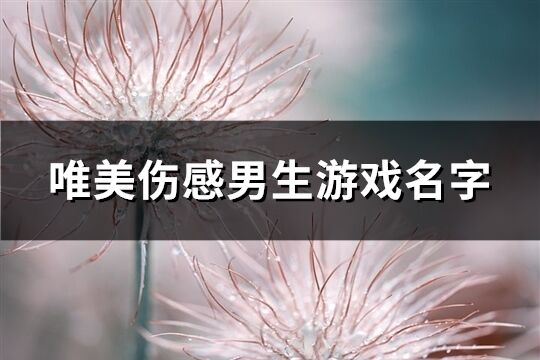 唯美伤感男生游戏名字(共326个)