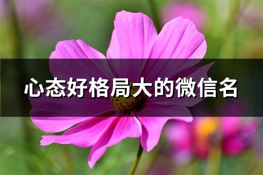 心态好格局大的微信名(共445个)