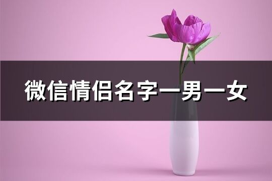 微信情侣名字一男一女(共105个)