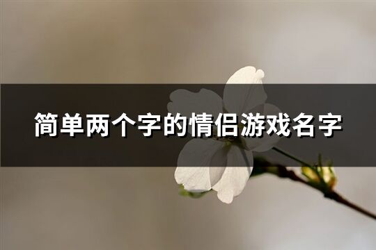 简单两个字的情侣游戏名字(共349个)