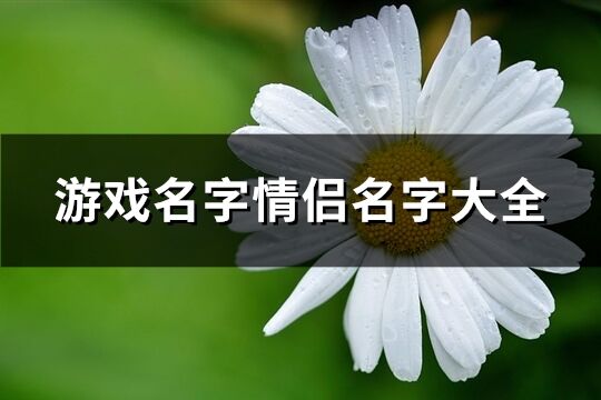 游戏名字情侣名字大全(共497个)