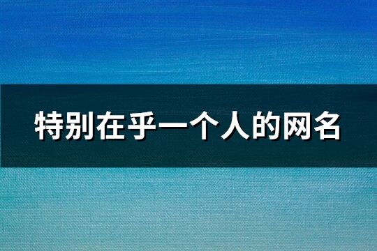 特别在乎一个人的网名(共395个)