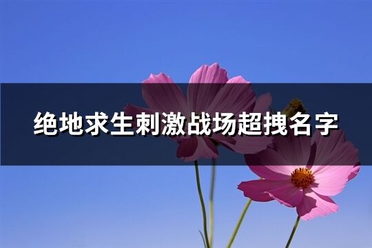 绝地求生刺激战场超拽名字(共520个)