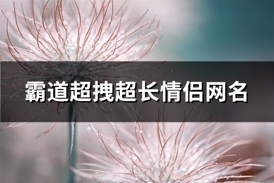 霸道超拽超长情侣网名(精选208个)