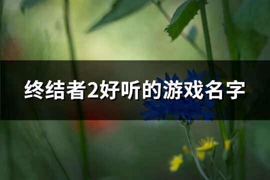 终结者2好听的游戏名字(160个)