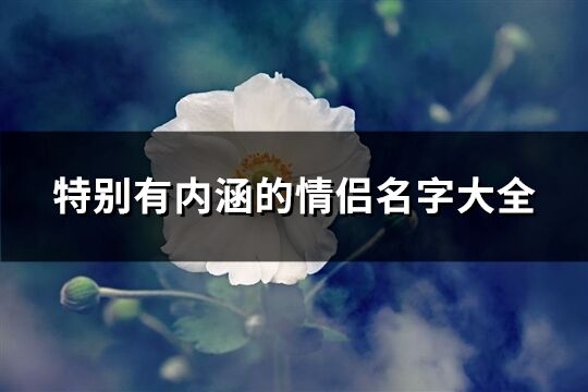 特别有内涵的情侣名字大全(共176个)