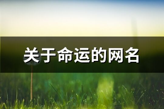 关于命运的网名(精选61个)