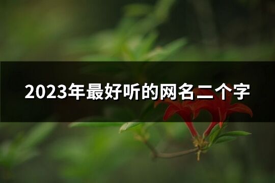 2023年最好听的网名二个字(精选419个)