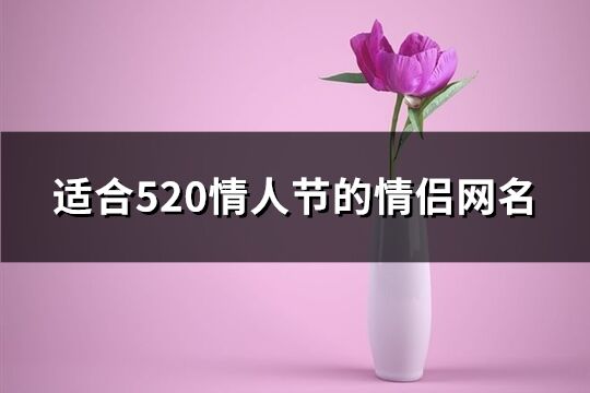 适合520情人节的情侣网名(共68个)