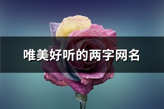 唯美好听的两字网名(896个)