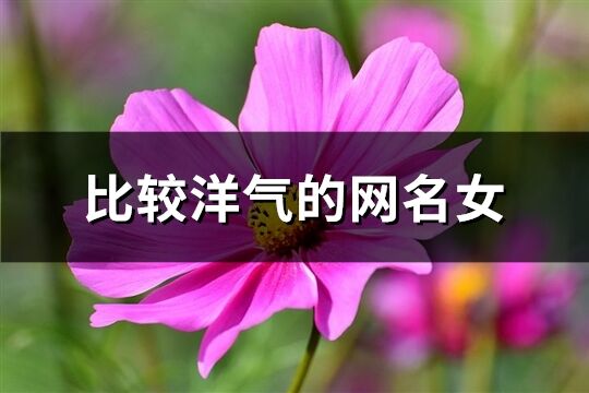 比较洋气的网名女(优选400个)