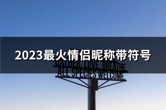 2023最火情侣昵称带符号(共235个)