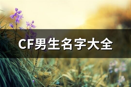 CF男生名字大全(共410个)