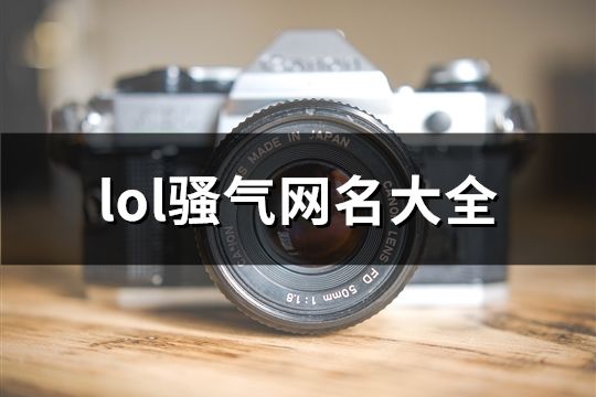 lol骚气网名大全(198个)