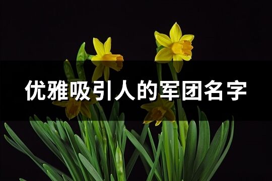 优雅吸引人的军团名字(共299个)