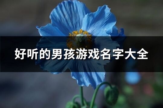 好听的男孩游戏名字大全(优选309个)