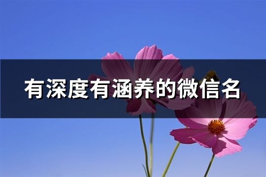 有深度有涵养的微信名(990个)