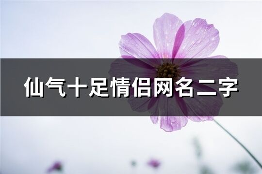 仙气十足情侣网名二字(精选433个)