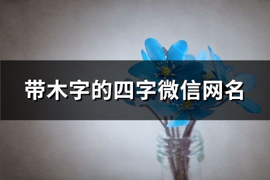 四字微信网名(共162个)