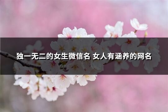 独一无二的女生微信名 女人有涵养的网名(380个)