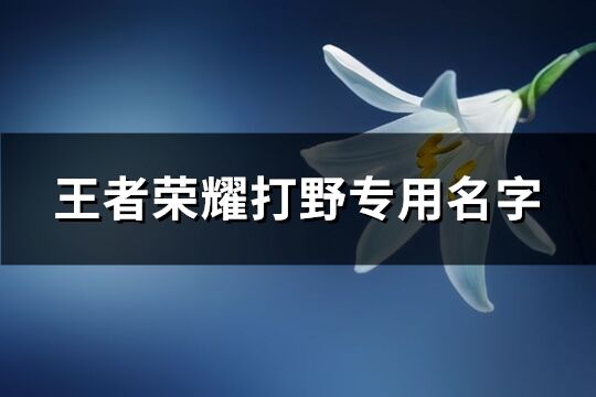 王者荣耀打野专用名字(优选162个)