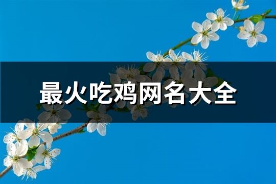 最火吃鸡网名大全(共742个)