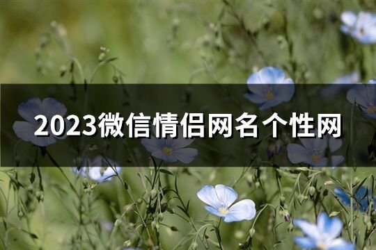 2023微信情侣网名个性网(共93个)