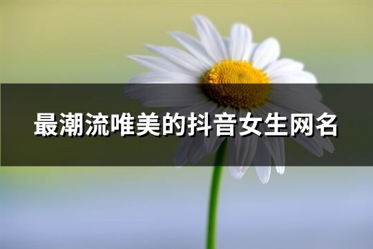 最潮流唯美的抖音女生网名(346个)