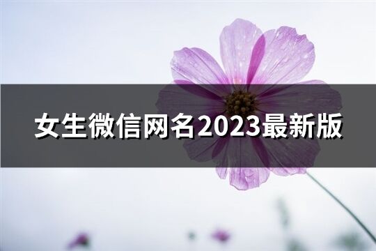 女生微信网名2023最新版(精选1006个)