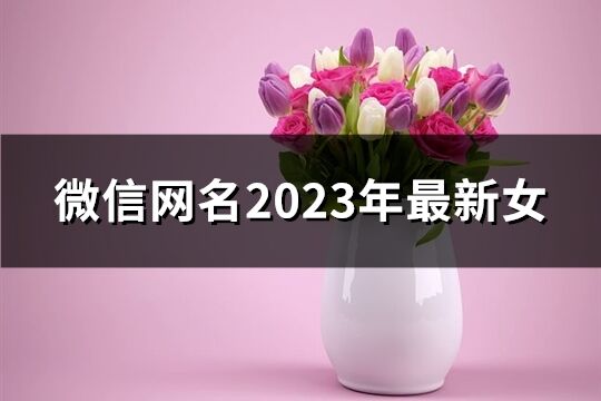 微信网名2023年最新女(优选1548个)