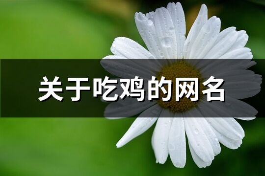 关于吃鸡的网名(精选298个)