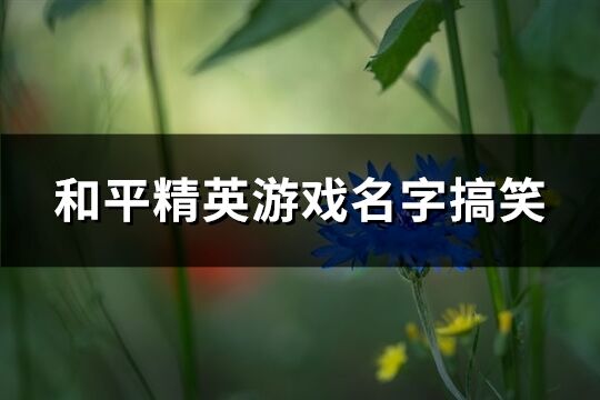 和平精英游戏名字搞笑(共170个)