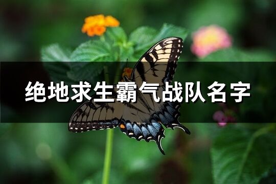 绝地求生霸气战队名字(精选190个)