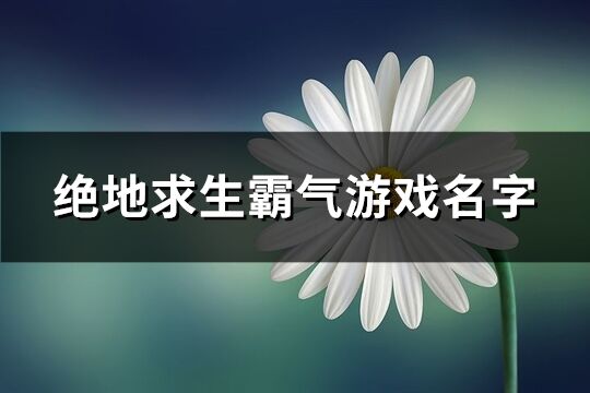 绝地求生霸气游戏名字(共692个)