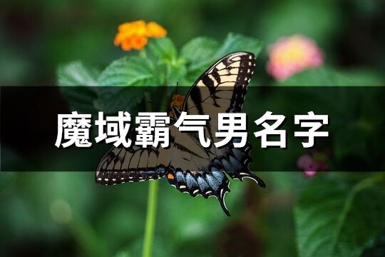 魔域霸气男名字(精选290个)