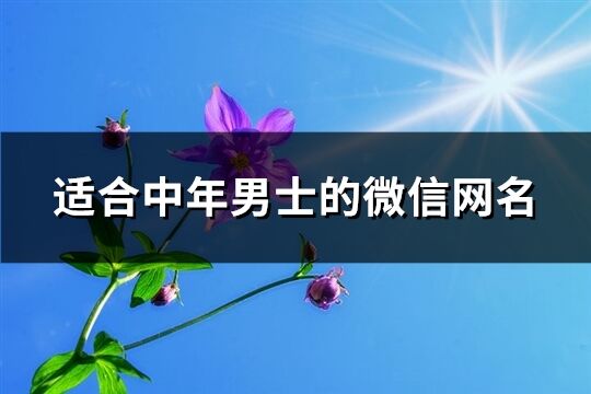 适合中年男士的微信网名(共245个)