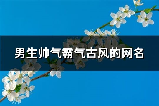 男生帅气霸气古风的网名(共248个)