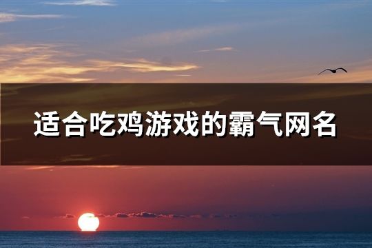 适合吃鸡游戏的霸气网名(精选76个)