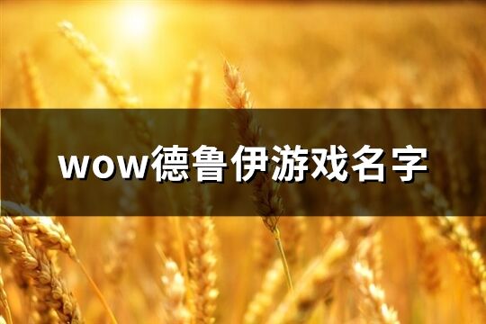 wow德鲁伊游戏名字(精选445个)