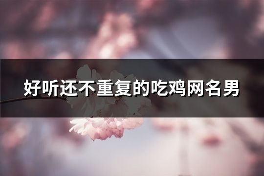 好听还不重复的吃鸡网名男(共164个)