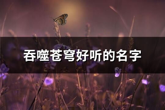 吞噬苍穹好听的名字(296个)