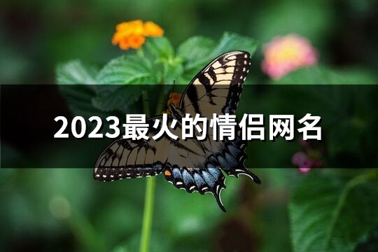 2023最火的情侣网名(240个)