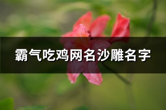 霸气吃鸡网名沙雕名字(共198个)